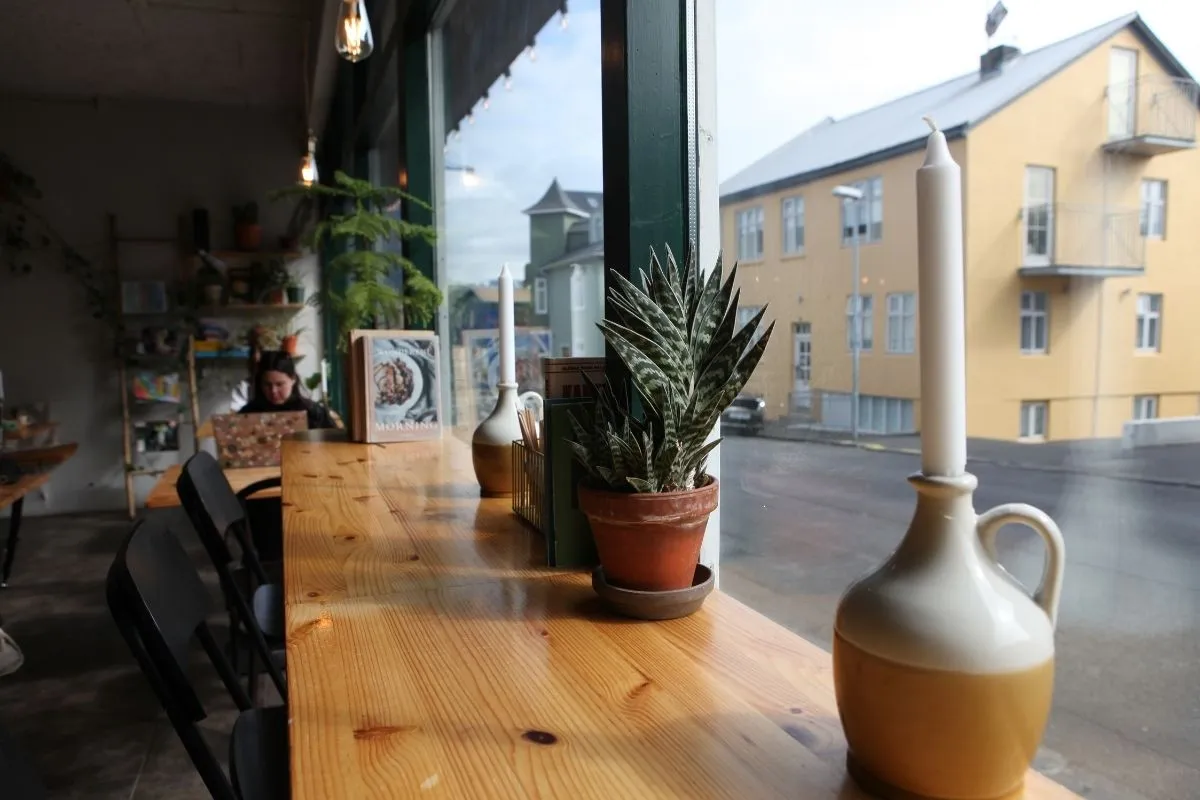 Window seating at Kaktus Espressobar, Reykjavík, recommended by Handpicked Iceland.