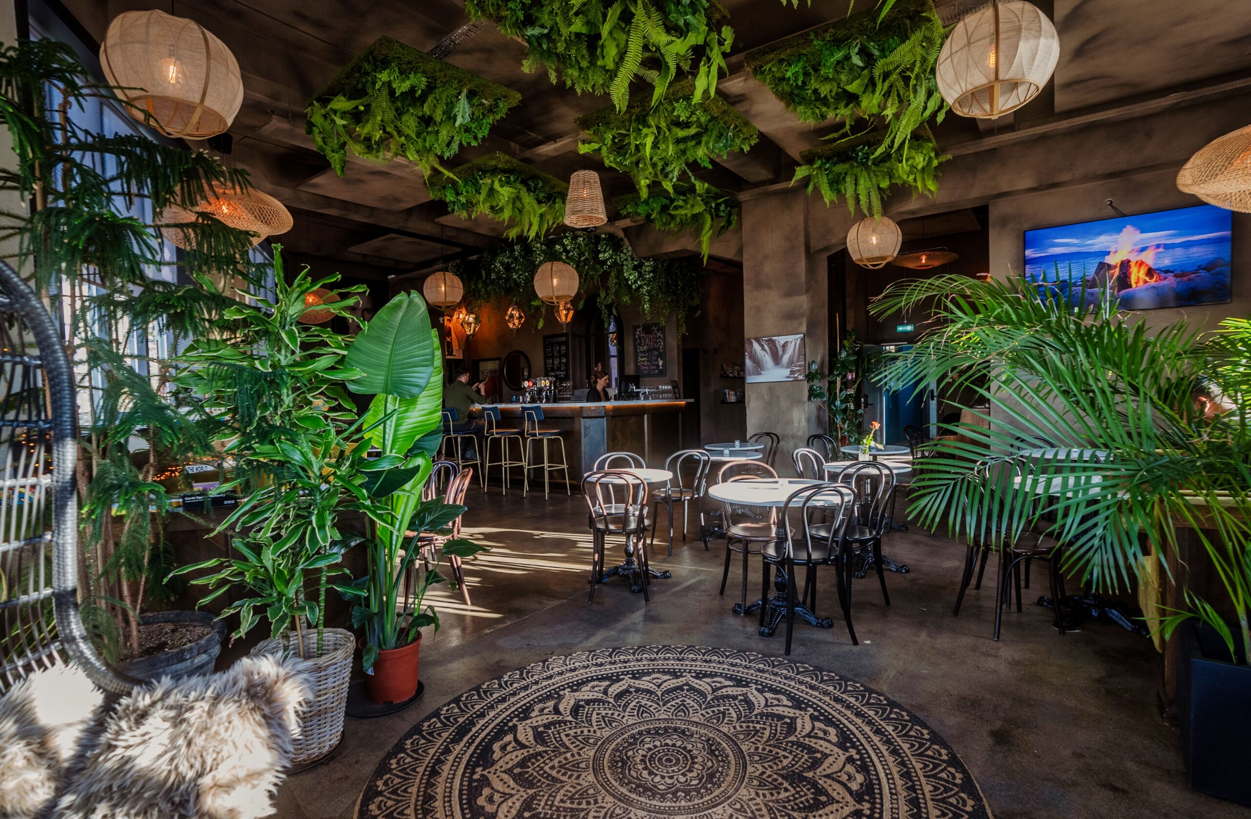 Snorrabar lounge with hanging plants, woven lamps and bistro tables, recommended by Handpicked Iceland