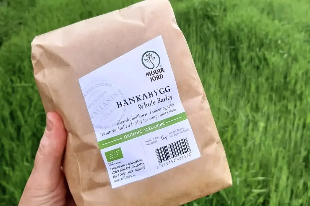 Locally grown organic barley from Móðir Jörð– Organic Shop in Egilsstaðir.