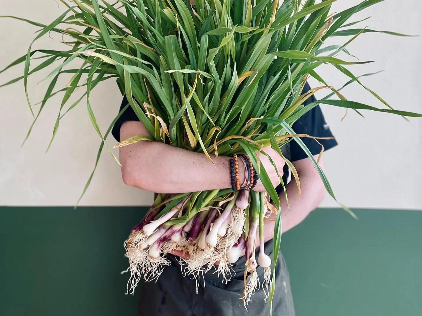 Farm-to-table ingredients at Chickpea Reykjavik.