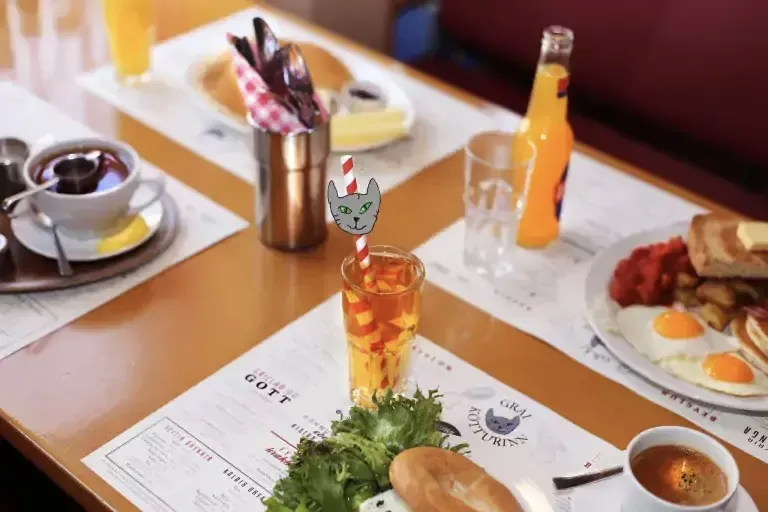 Popular brunch at Grái Kötturinn featuring the “Truck” breakfast, specialty coffee, and cat-themed decor, recommended by Handpicked Iceland.