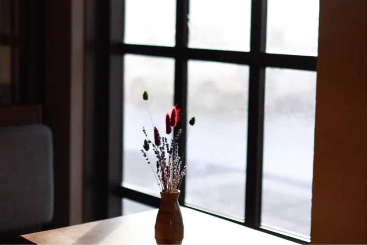 Cozy window seating at Hygge Café & Micro Bakery in Reykjavik.
