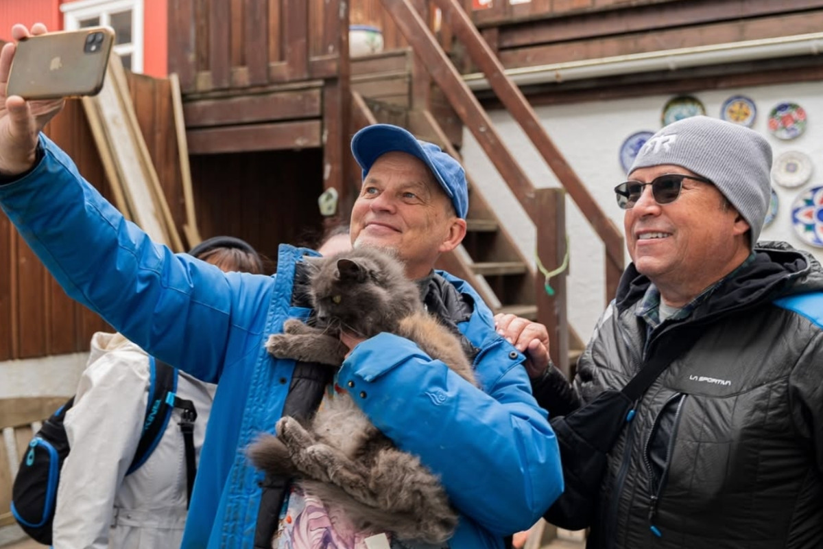 Cat-focused city walking tour in downtown Reykjavik with Your Friend in Reykjavik.