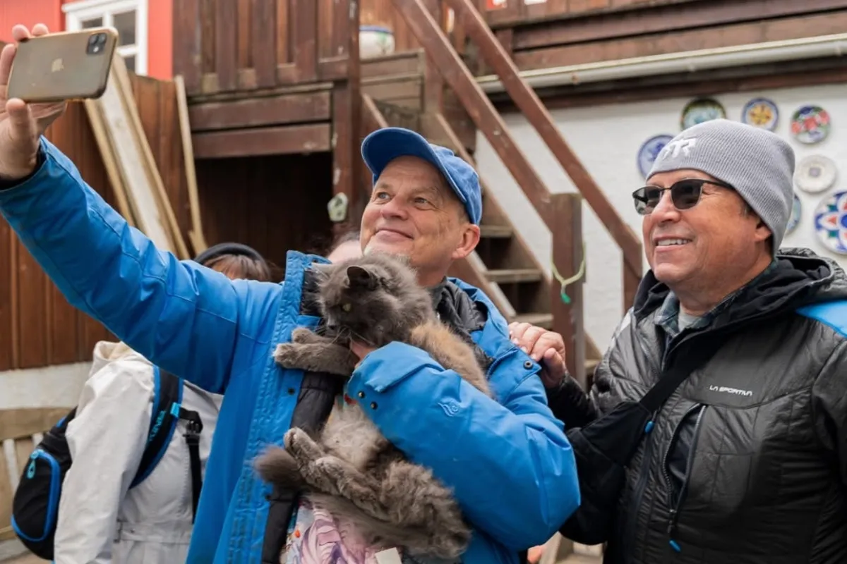 Cat-focused city walking tour in downtown Reykjavik with Your Friend in Reykjavik.