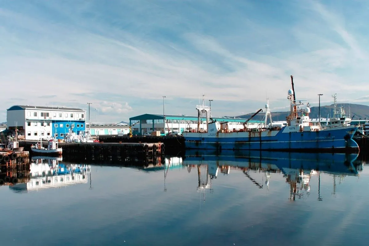 Harbour‑side facade of Grandi Foodhall in Reykjavík.