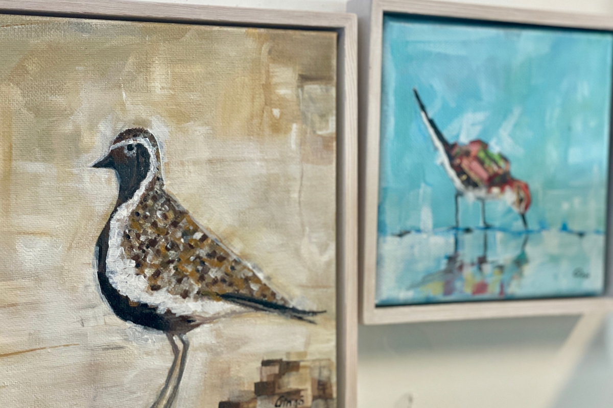 Icelandic bird paintings displayed at Ljómalind Local Market in Borgarnes