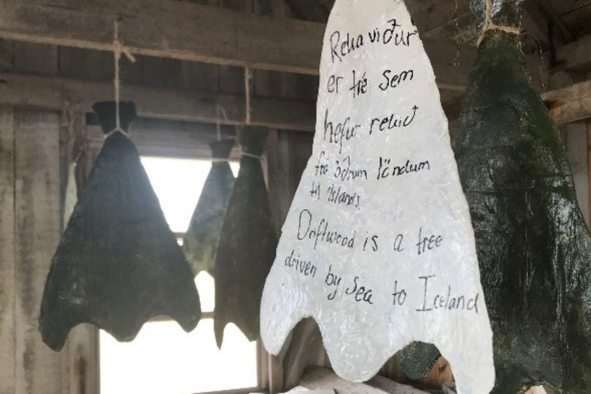 Traditional fish drying inside Malarif salthouse in Snæfellsbær, West Iceland.