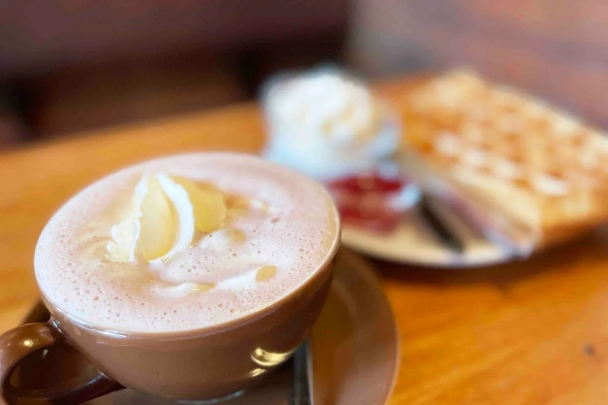 Famous hot chocolate and waffles at Mokka Kaffi, Reykjavik.