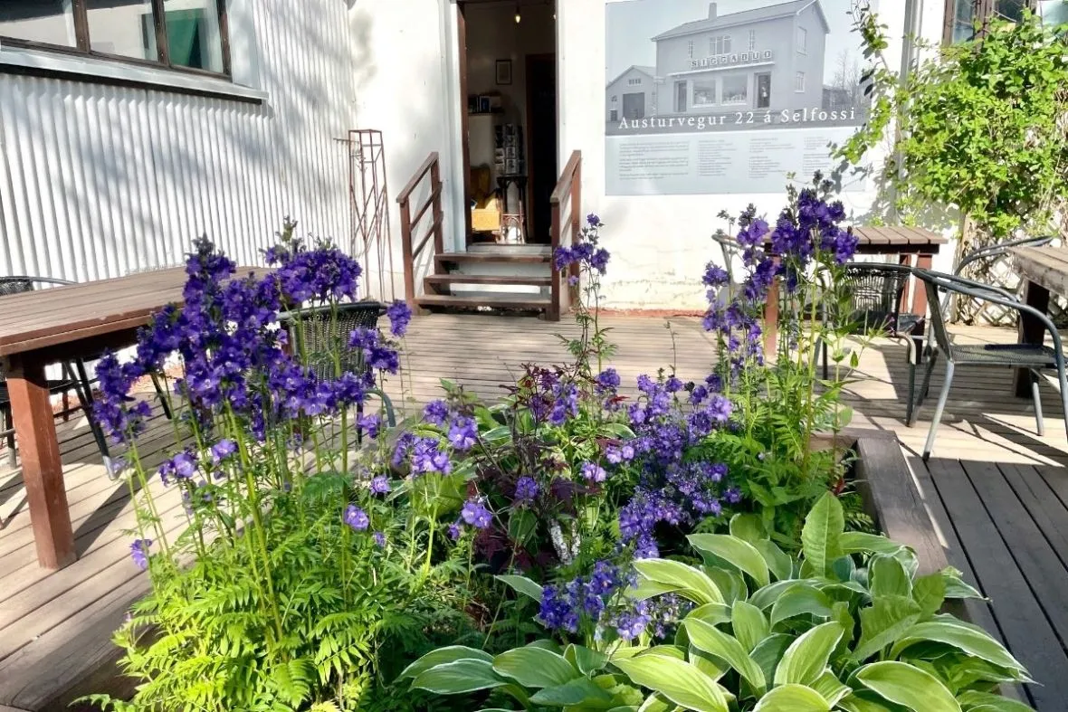 Selfoss Book Café in Selfoss, recommended by Handpicked Iceland.