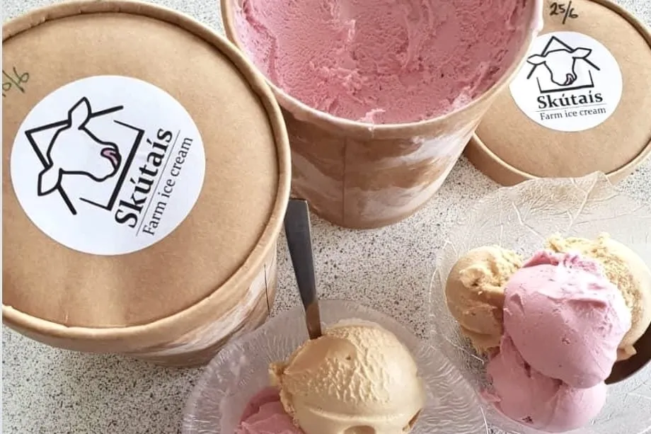 Sweet and flavorful Skútaís ice cream in Skútustaðir.