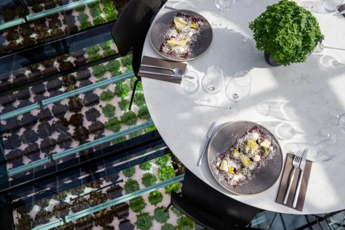 Dining area at Sól Restaurant with a glass floor above a living greenhouse.
