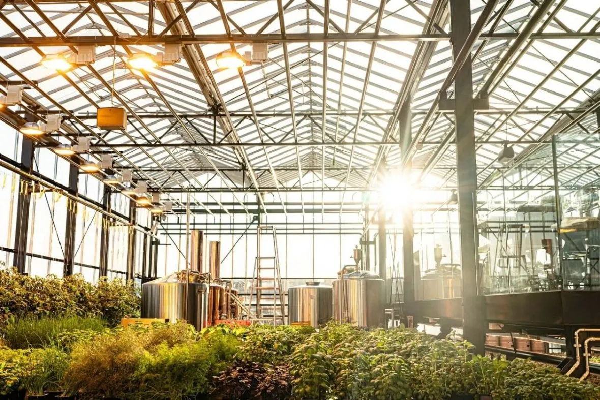 Indoor greenhouse with brewery tanks at Sól Restaurant, featuring fresh herbs grown on-site under glass.