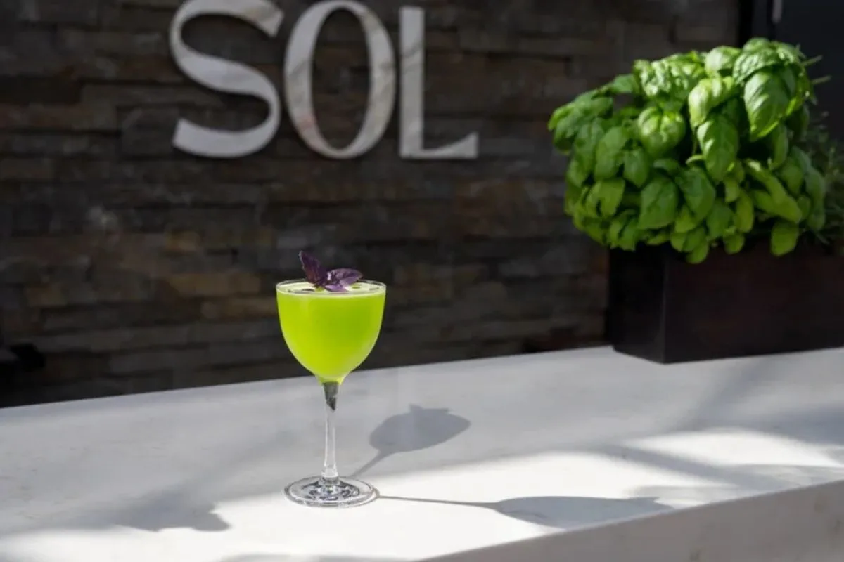 Vibrant green basil cocktail garnished with a purple leaf at Sól Restaurant in Hafnarfjörður.