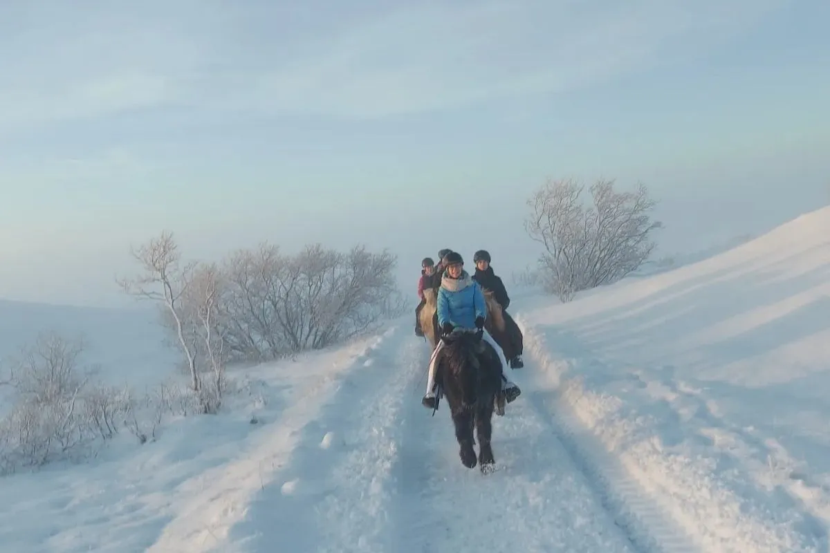A small group riding Icelandic horses across volcanic lava fields near Reykjavik with The Icelandic Horse.