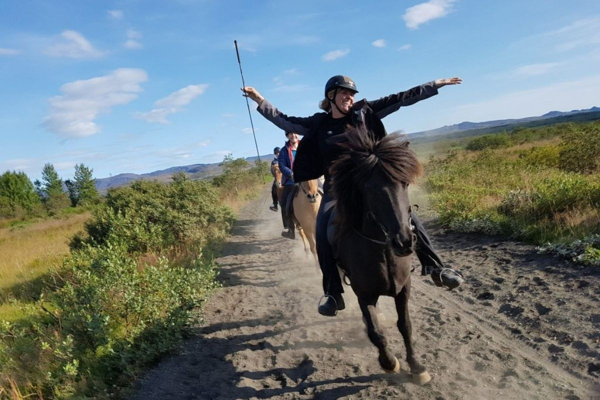 Horseback riding and nature experience with The Icelandic Horse along scenic trails through volcanic hills near Reykjavik.