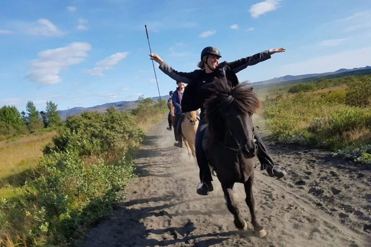 Horseback riding and nature experience with The Icelandic Horse along scenic trails through volcanic hills near Reykjavik.