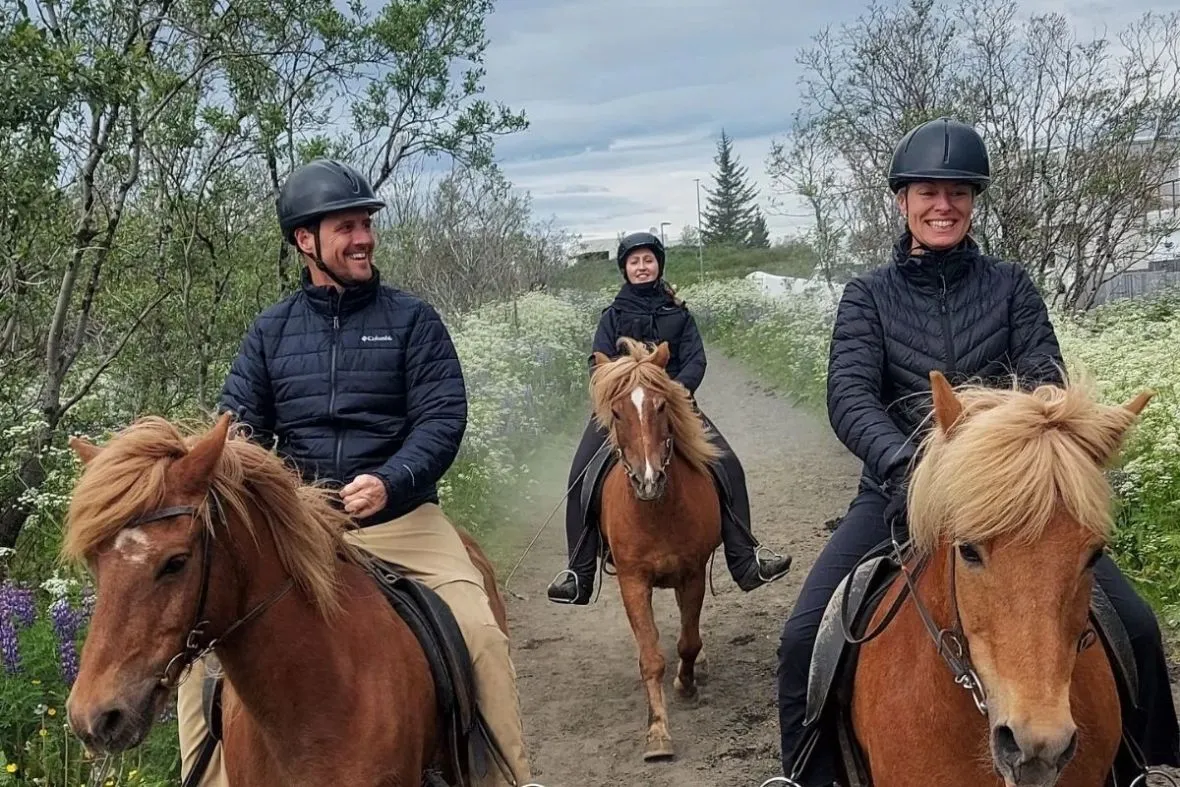 The Icelandic Horse horseback- riding and nature experience in Reykjavik.