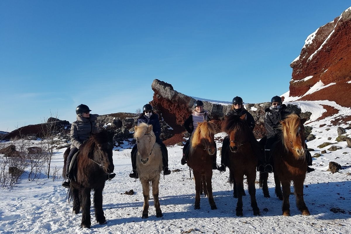The Icelandic Horse horseback-riding tour and experience in Reykjavik, recommended by Handpicked Iceland.