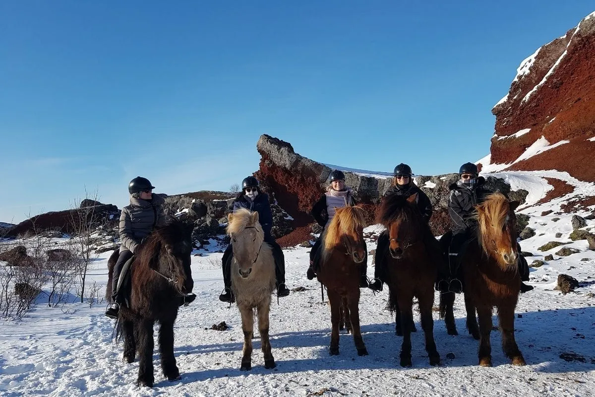 The Icelandic Horse horseback-riding tour and experience in Reykjavik, recommended by Handpicked Iceland.