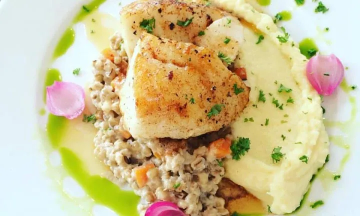 Pan-seared Icelandic fish with mashed potatoes and herb garnish at Salt Eldhús in Reykjavik.