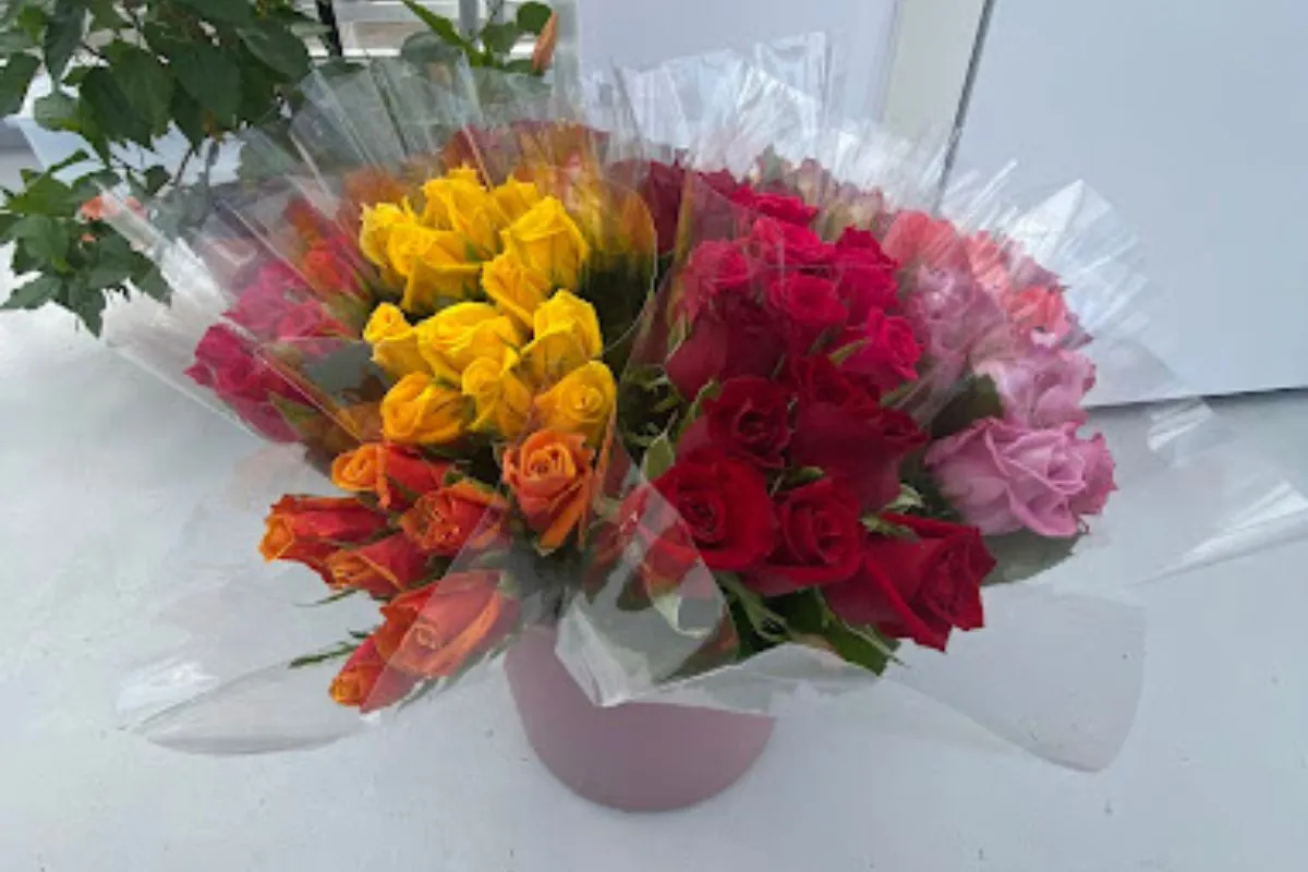 Fresh colorful roses grown in the greenhouse at Gróðurhúsið Starrastöðum Cafe.
