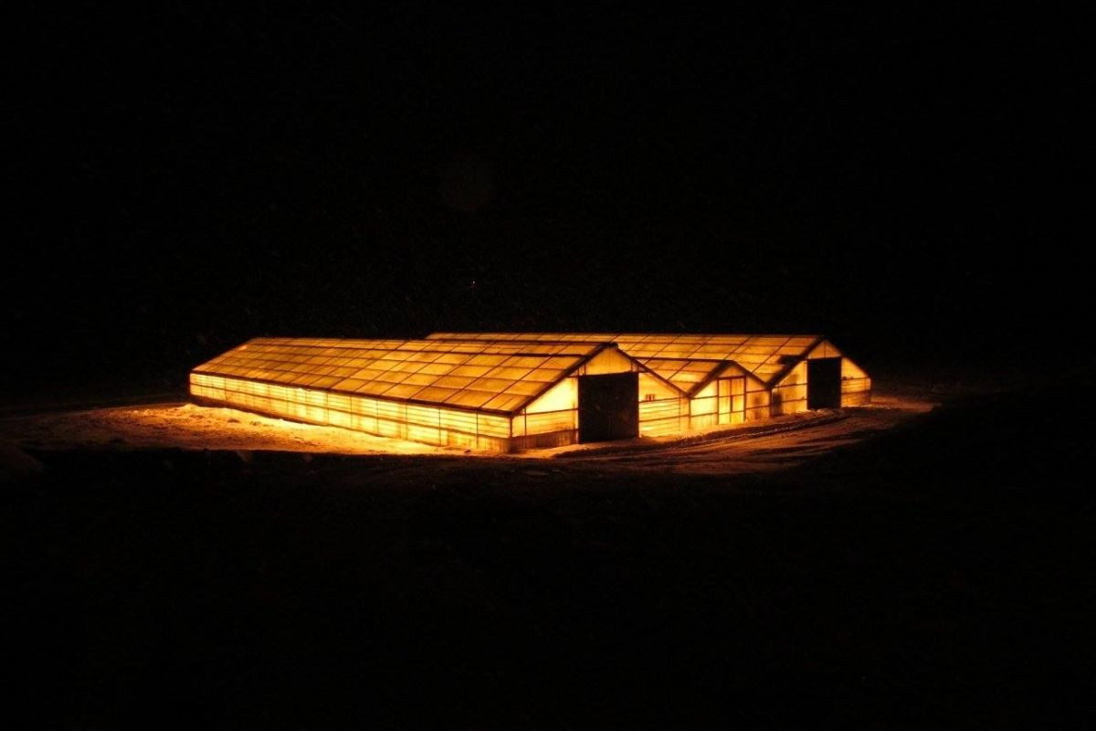 Night view of illuminated greenhouses at Gróðurhúsið Starrastöðum in Starrastaðir.