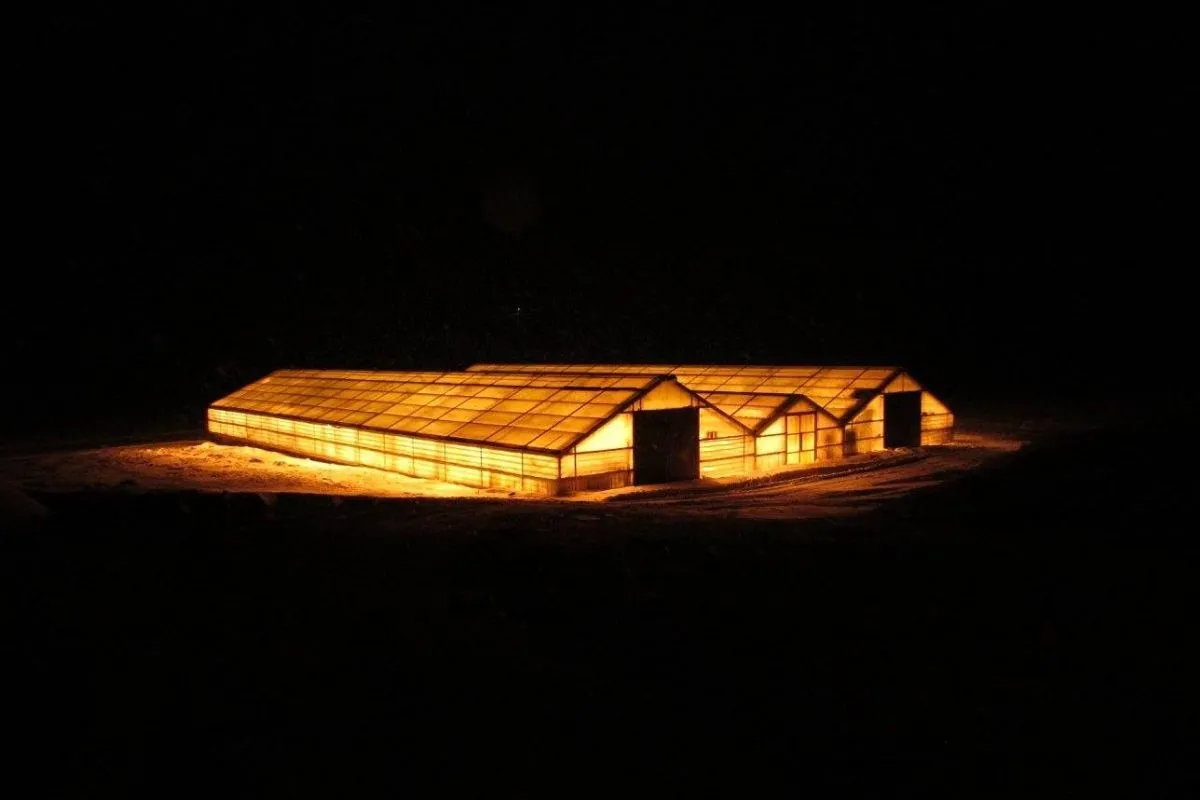 Night view of illuminated greenhouses at Gróðurhúsið Starrastöðum in Starrastaðir.