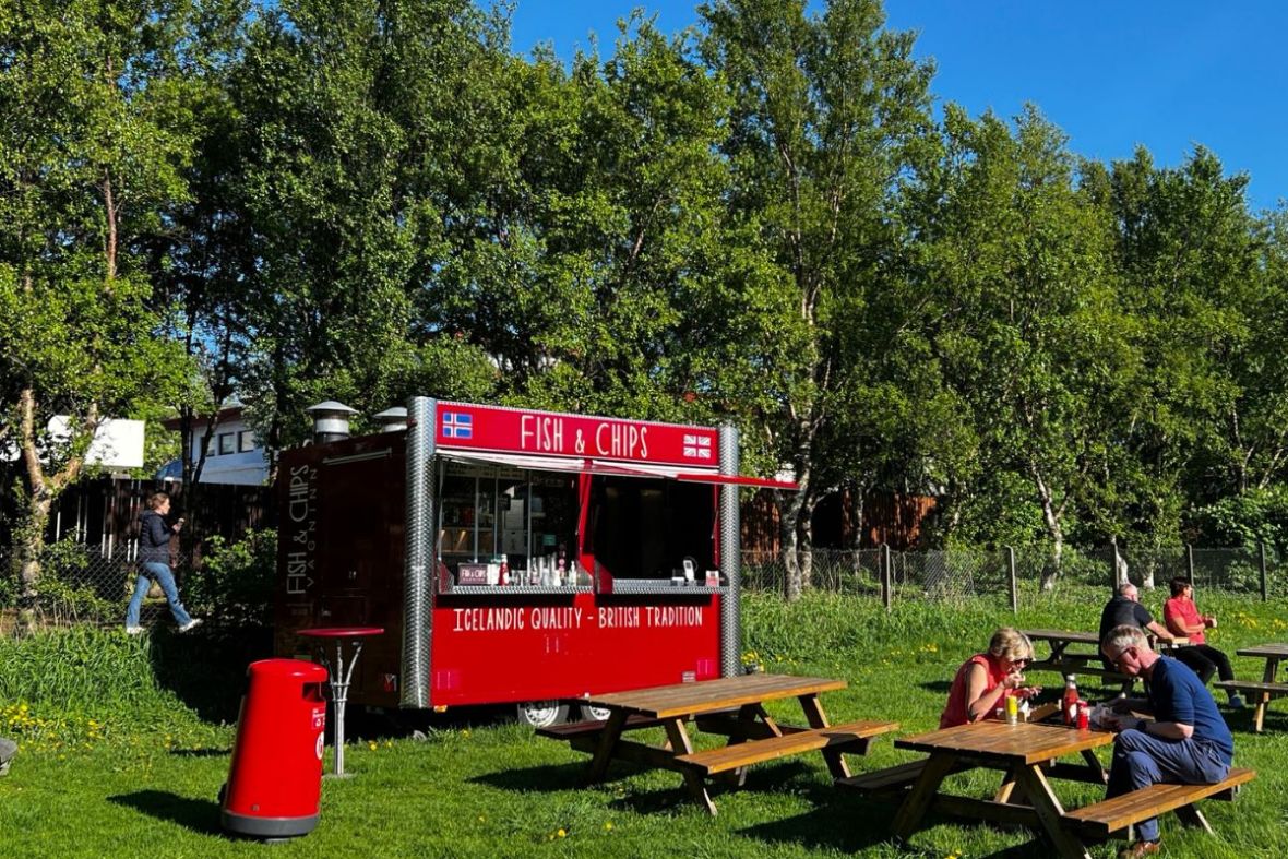 Front view of the red Fish and Chips Vagninn food truck parked on a sunny lawn in Laugardalur, Reykjavik.