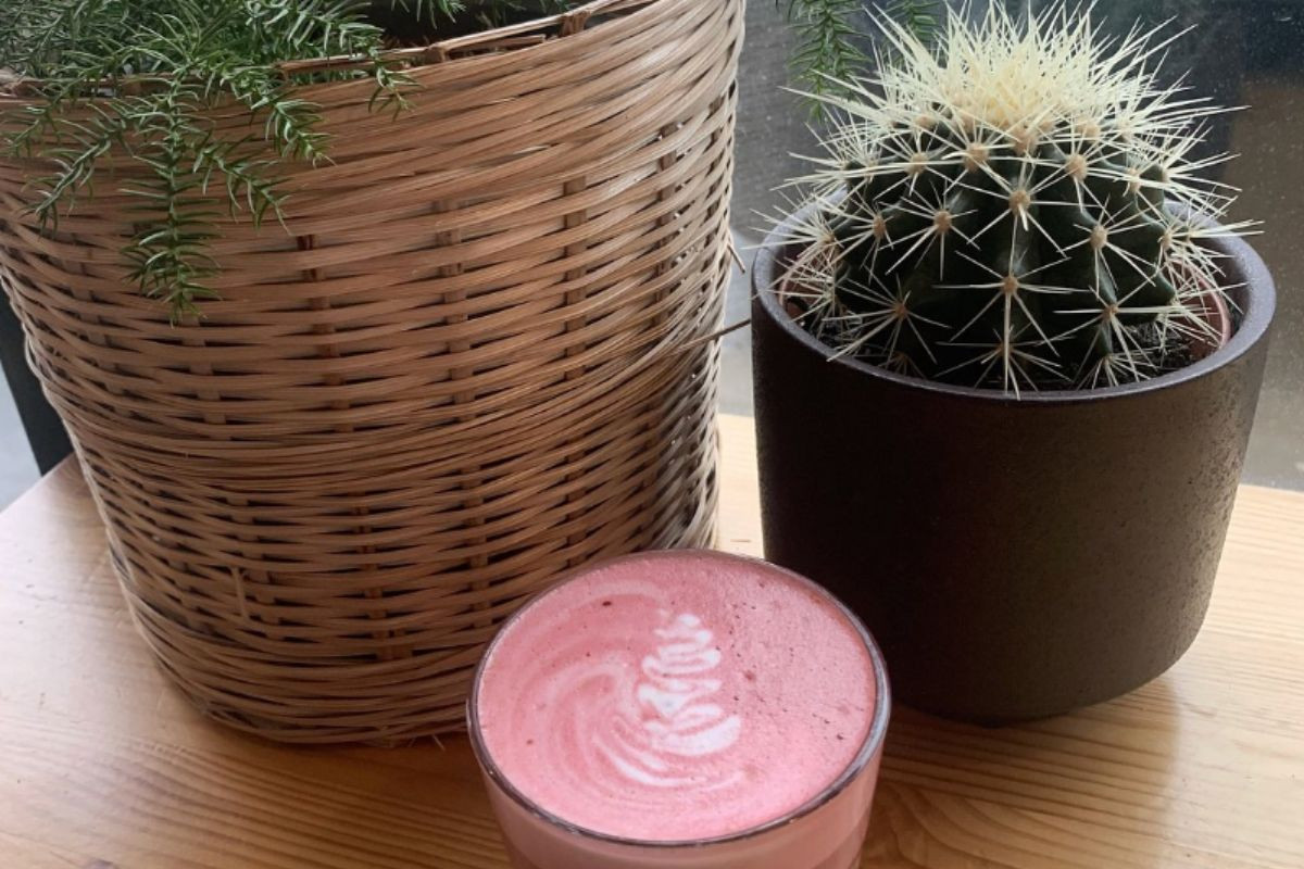Pink latte and cactus decor at Kaktus Espressobar on Vitastígur.