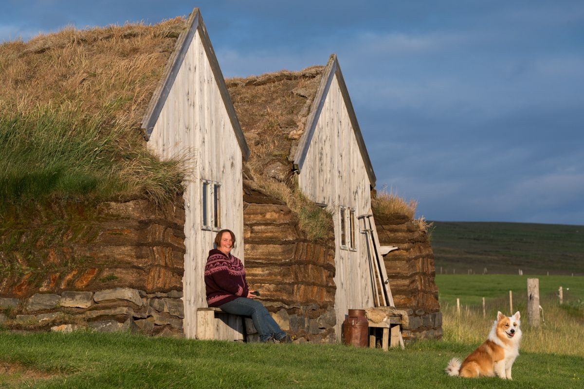 Traditional turf houses next to an Icelandic sheepdog with Áskaffi – Food tour.