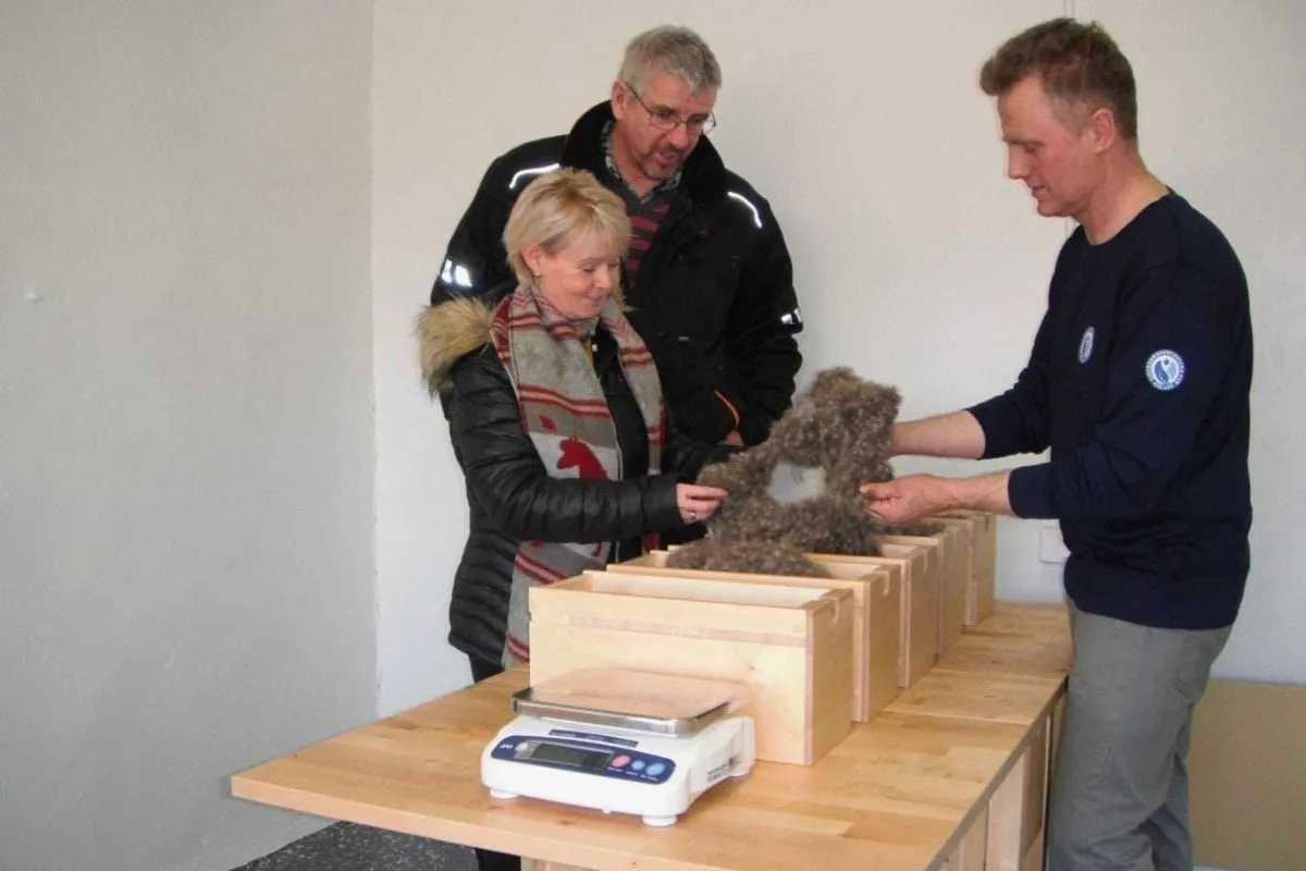 Visitors learning about the processing of raw eiderdown with a guide at Eiderdown Comforters – Tour in East Iceland.