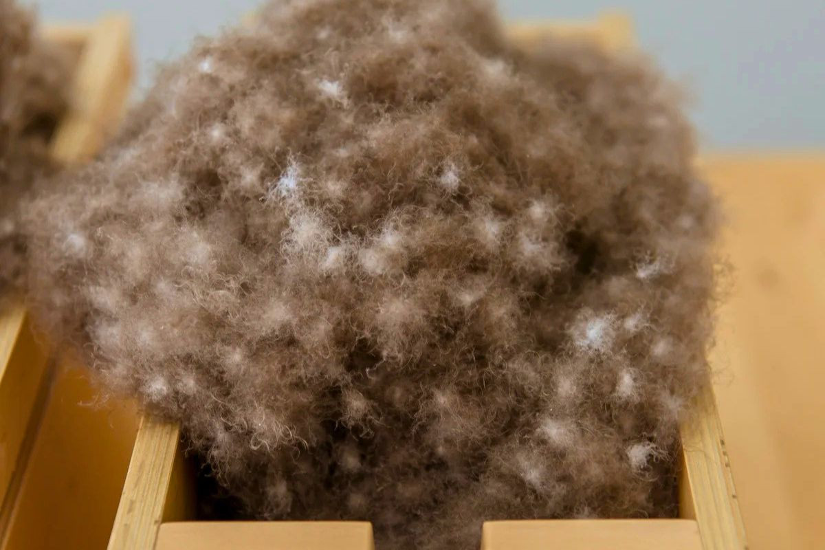 A close-up of soft, brown raw eiderdown feathers resting in a wooden sorting box.