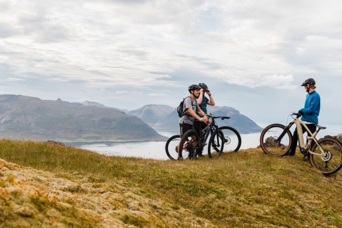A group of cyclists taking a break on a grassy ridge with panoramic views of the East Iceland fjords.