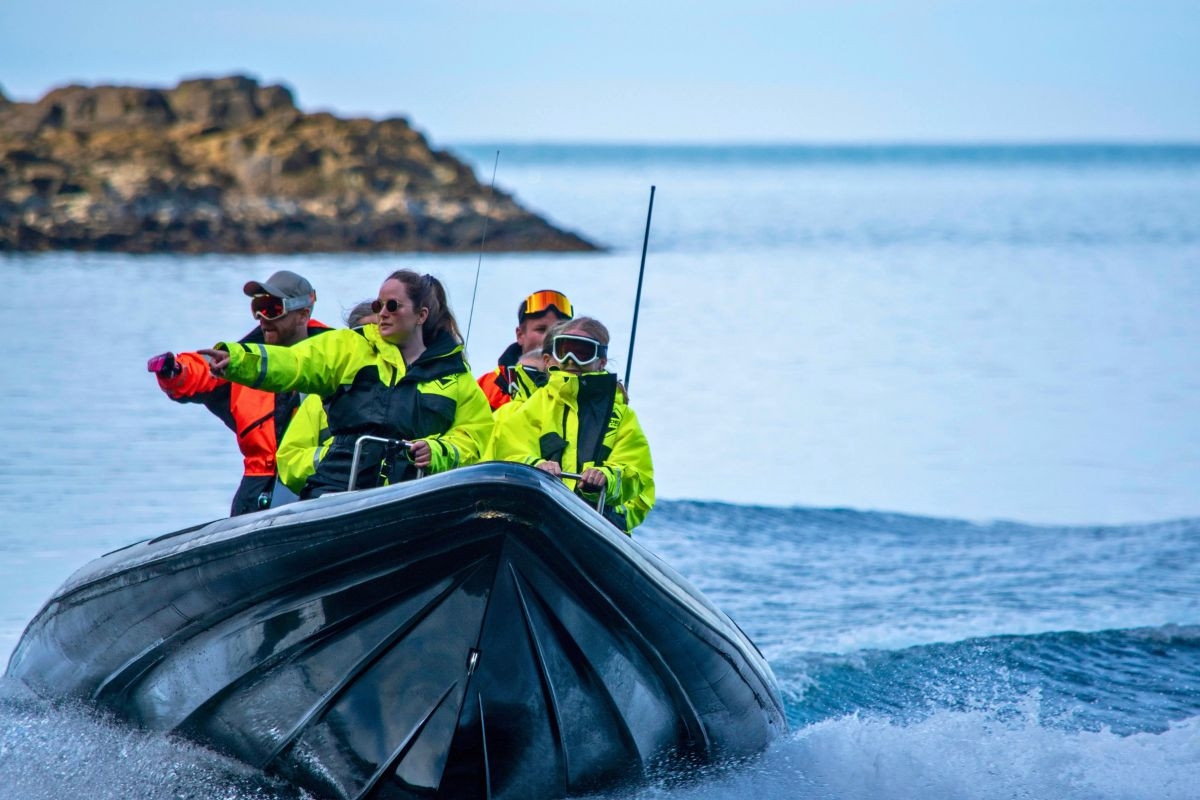 RIB boat during a wildlife tour with Puffin Adventures in Borgarfjörður Eystri, recommended by Handpicked Iceland.