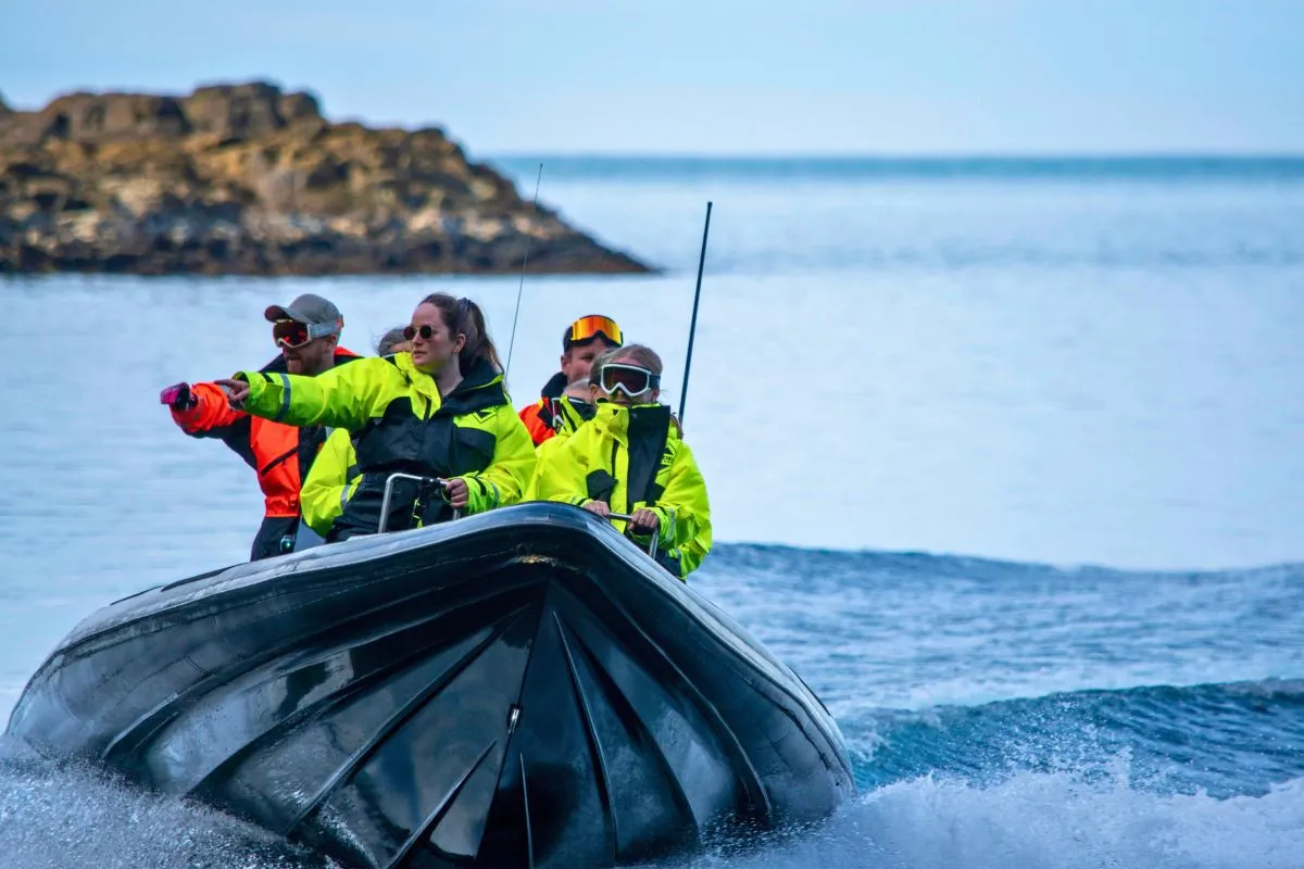 RIB boat during a wildlife tour with Puffin Adventures in Borgarfjörður Eystri, recommended by Handpicked Iceland.