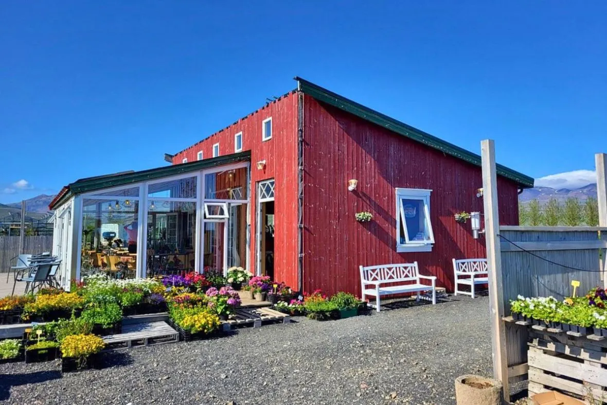 Exterior view of the red wooden Hjá góðu fólki café on the Snæfellsnes Peninsula in West Iceland.
