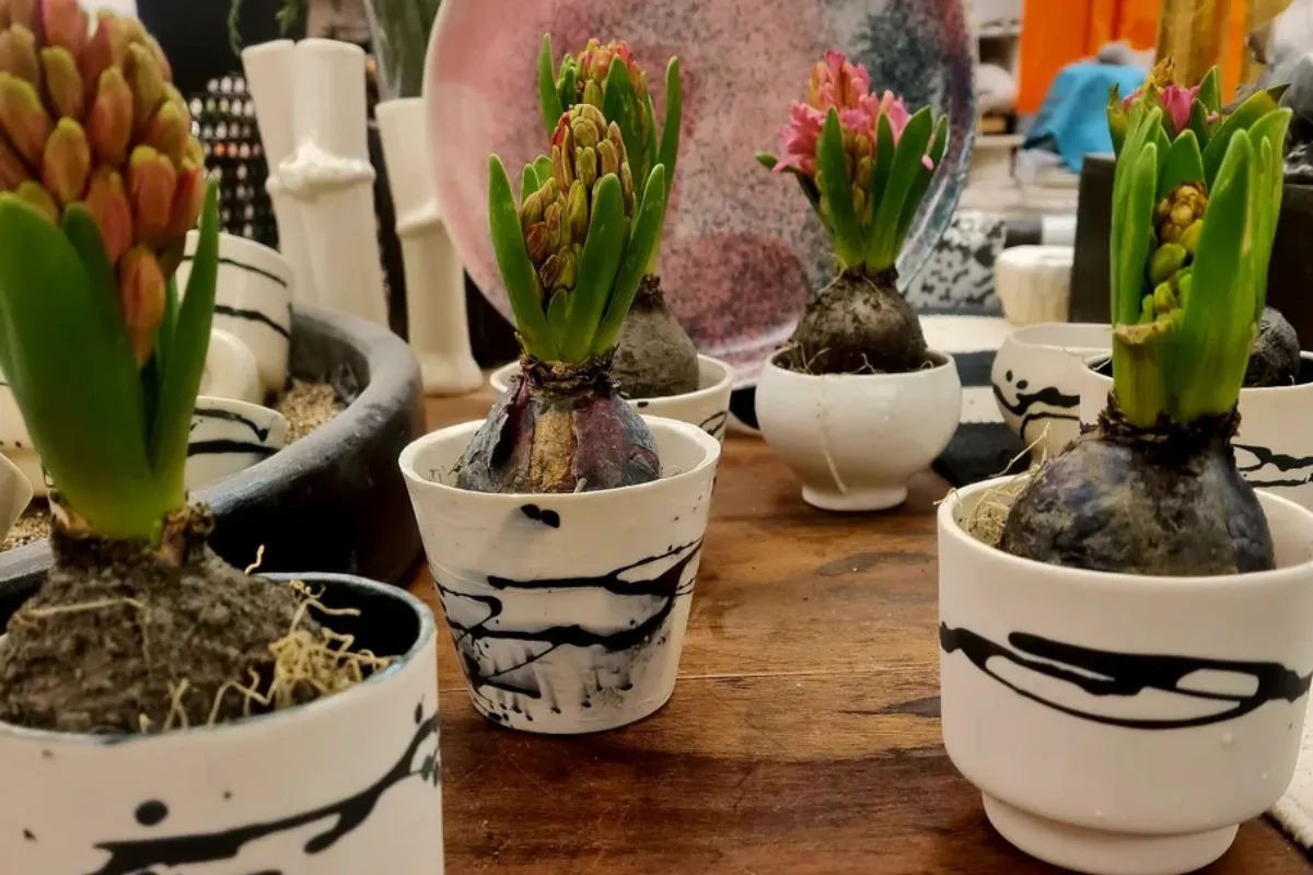 Handcrafted ceramic plant pots at Stilkar Ceramic Studio Reykjavík