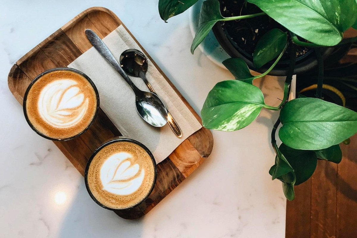 Two lattes with latte art at Kaffi Ó-le in Reykjavík, recommended by Handpicked Iceland